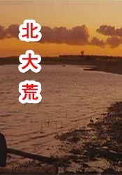 欧美精品激情视频